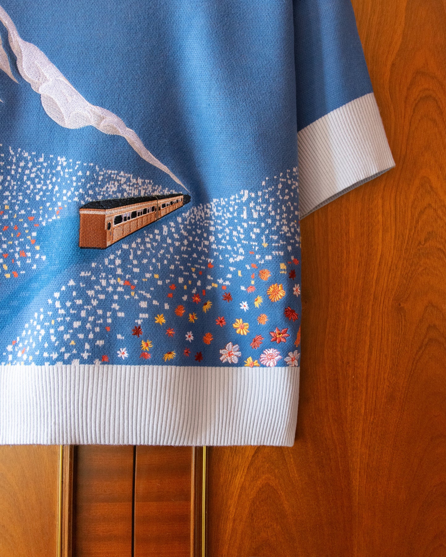 ERRORS EXPRESS EMBROIDERED POLO