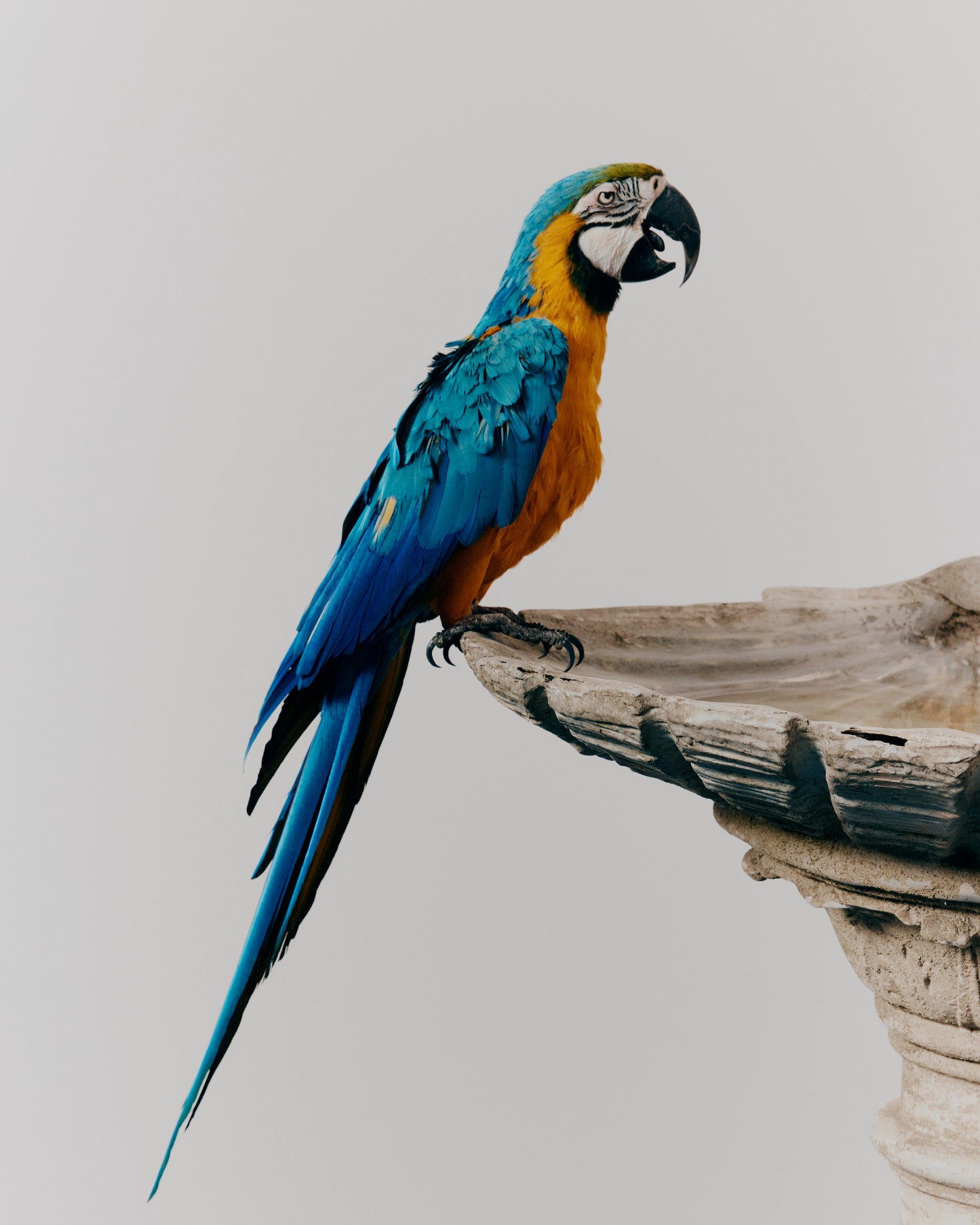 SHAGGY KNITTED STRIPED SWEATER
